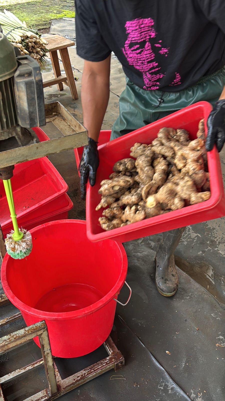 Nohyoghi Company Gallery 5